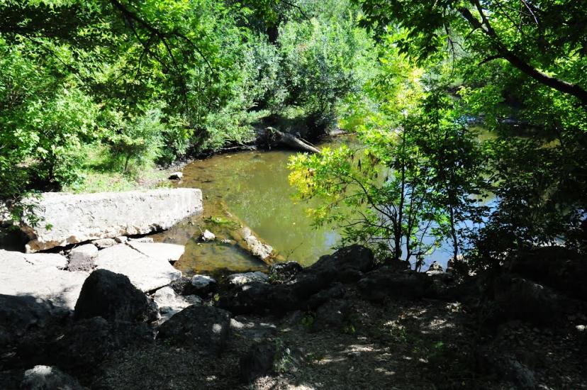 Жовте з panoramio.com - Жовте