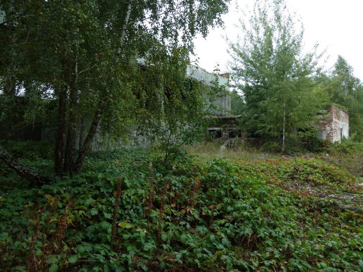 Радинка з panoramio.com - Радинка