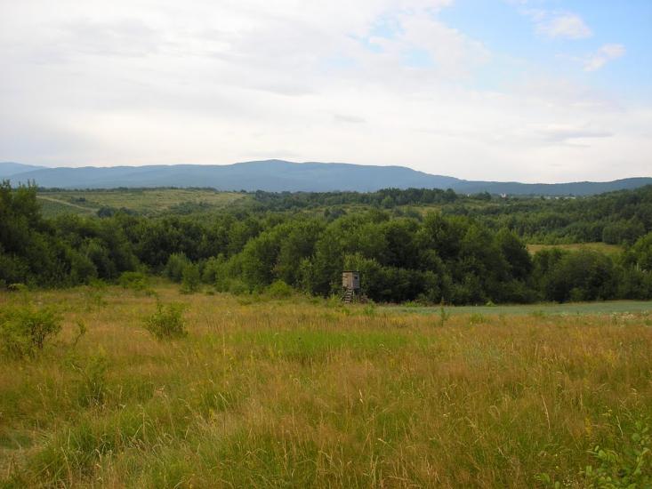 Гута з panoramio.com - Guta