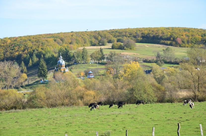 Поморяни з panoramio.com - Поморяны