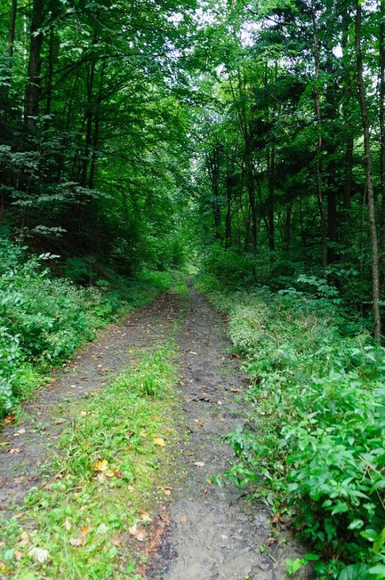 Буківцьово з panoramio.com - Буковцево