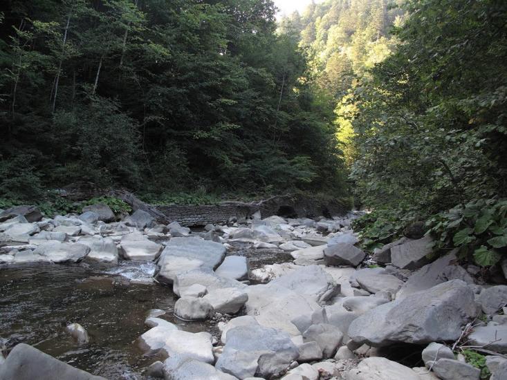 Вишка з panoramio.com - Vyshka