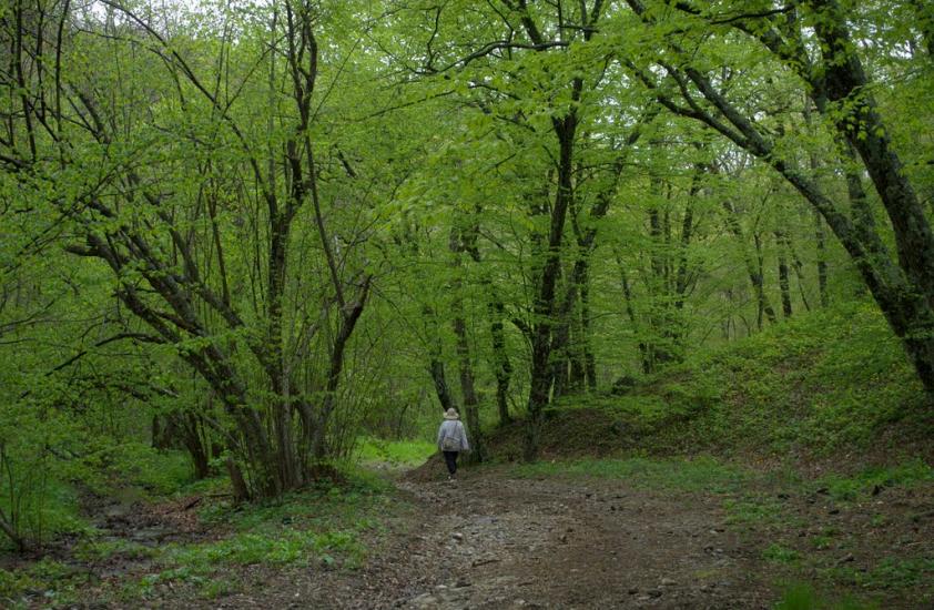 Міжріччя з panoramio.com - Міжріччя