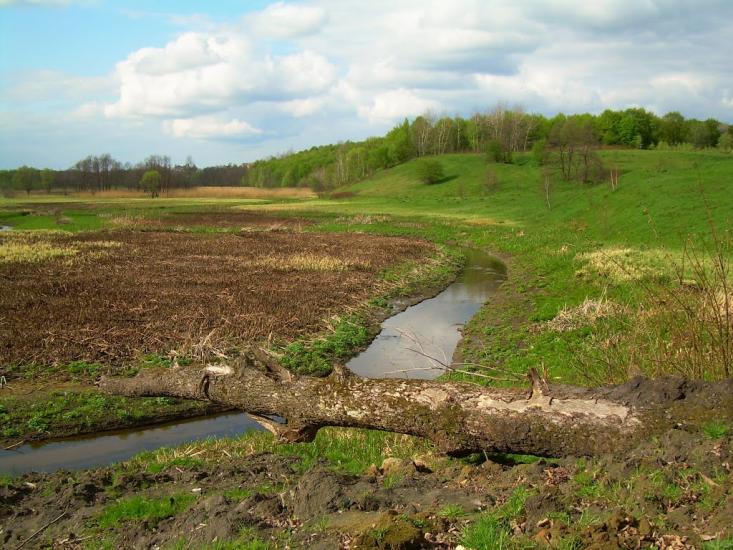 Годовиця з panoramio.com - Godovytsya