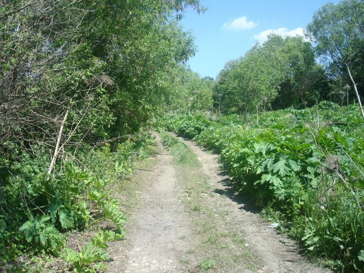 Шаровечка з panoramio.com - Sharovechka