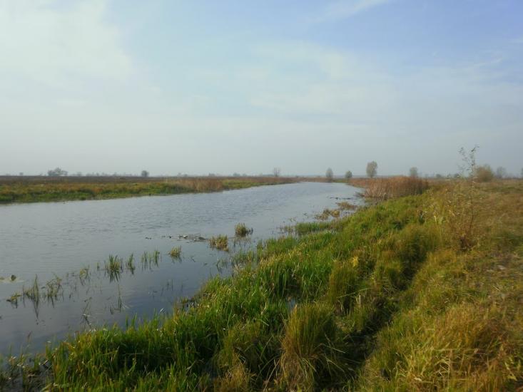 Вища Дубечня з panoramio.com - Высшая Дубечня