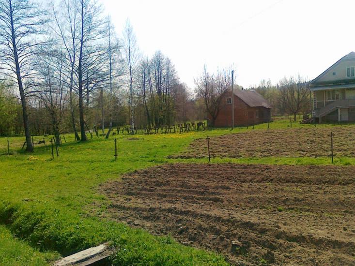 Майдан з panoramio.com - Майдан