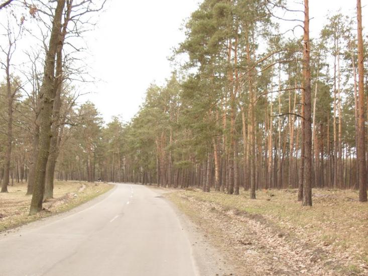 Клавдієво-Тарасове з panoramio.com - Клавдієво-Тарасове