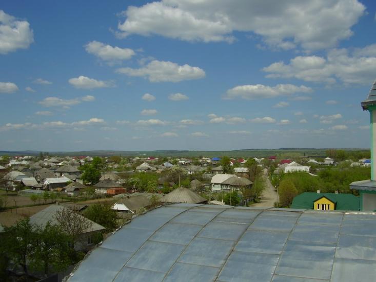 Тарасівці з panoramio.com - Тарасівці