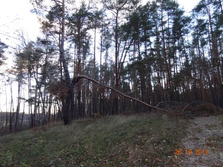Корюківка з panoramio.com - Корюківка
