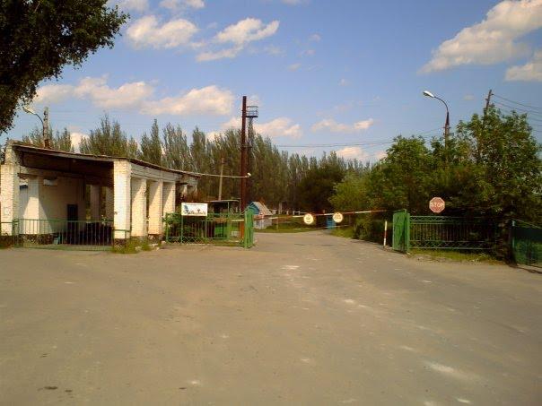 Івана Франка з panoramio.com - Івана Франка