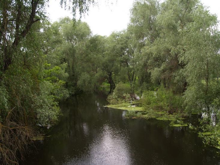 Остер з panoramio.com - Остер