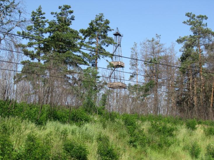 Борова з panoramio.com - Борова