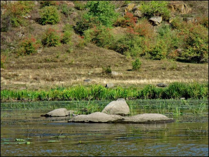 Салькове з panoramio.com - Сальково