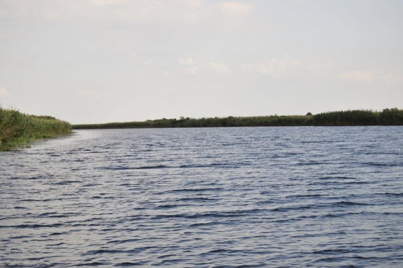 Кізомис з panoramio.com - Kizomys
