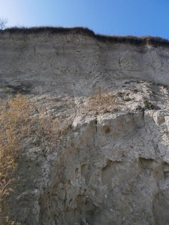 Нечаївка з panoramio.com - Нечаевка