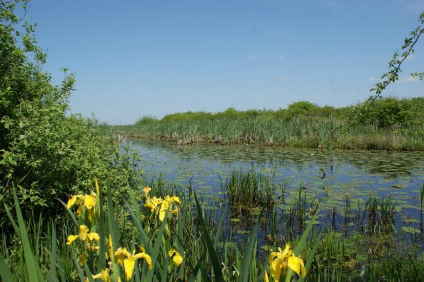 Оклі з panoramio.com - Оклі