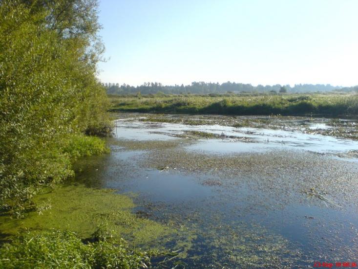 Кам'янобрід з panoramio.com - Кам'янобрід
