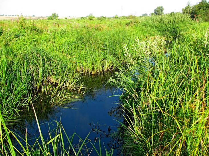 Кустин з panoramio.com - Кустин