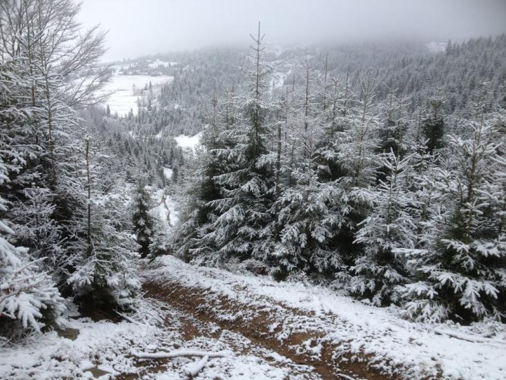 Либохора з panoramio.com - Либохора