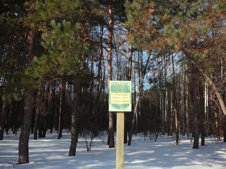 Тростянець з panoramio.com - Тростянец