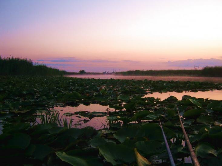 Новосільське з panoramio.com - Novosilske