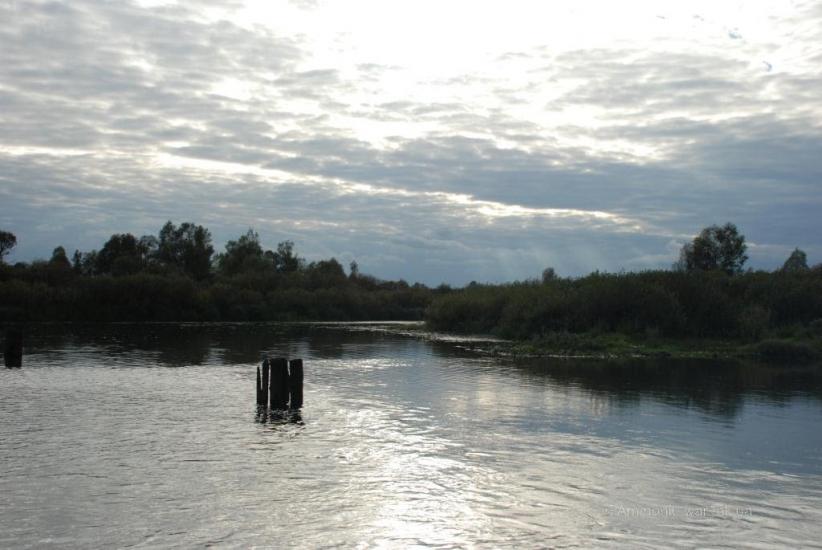 Максимовичі з panoramio.com - Maksymovychi