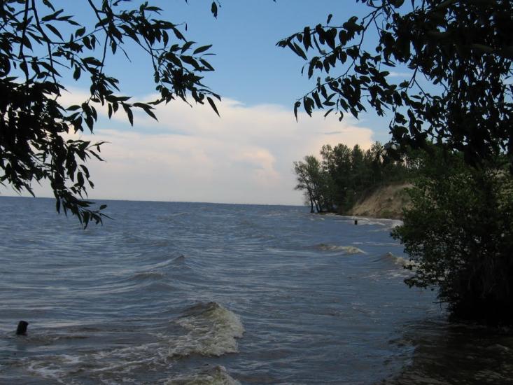 Козаровичі з panoramio.com - Kozarovychi