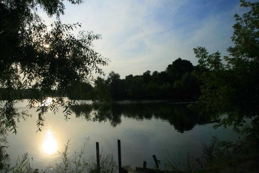 Павлівка з panoramio.com - Павлівка