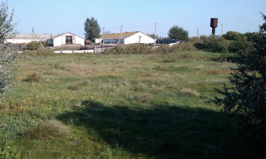 Софіївка з panoramio.com - Софиевка