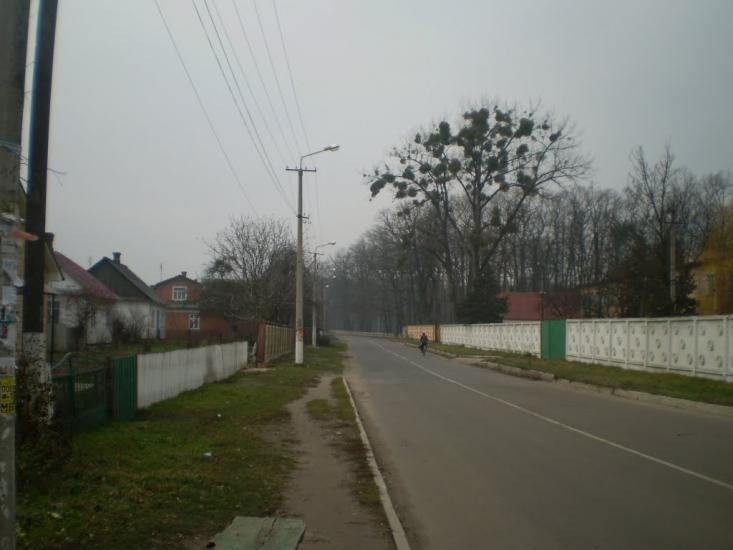 Клевань з panoramio.com - Klevan