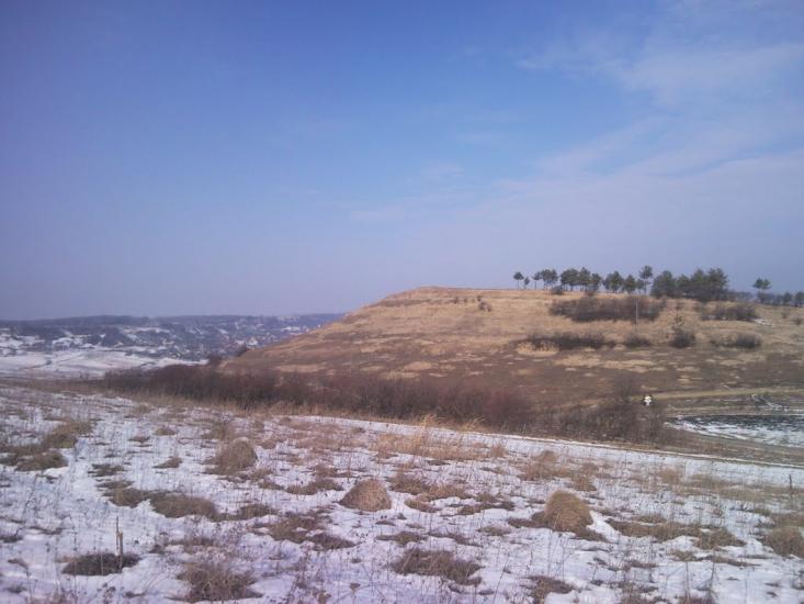 Гринів з panoramio.com - Gryniv