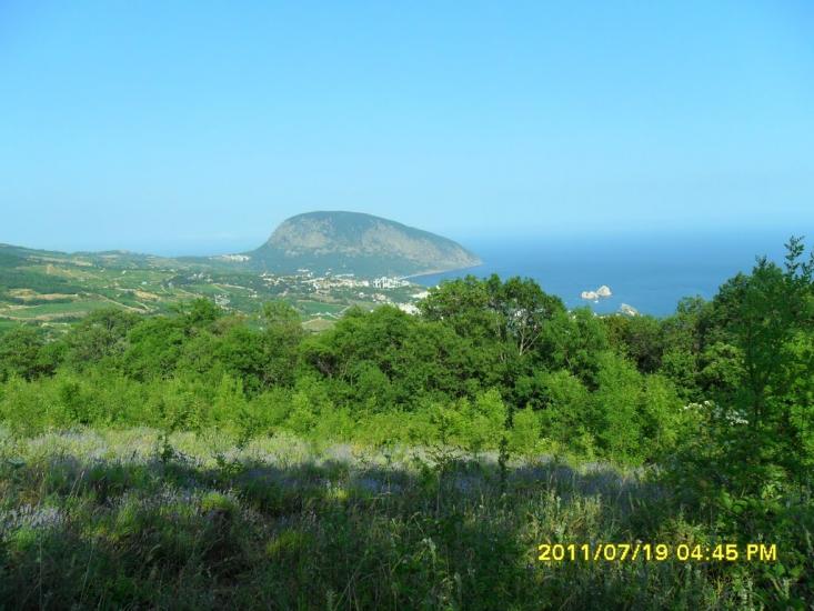 Польове з panoramio.com - Польове