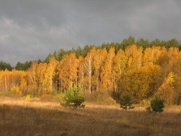 Озереди з panoramio.com - Озереди