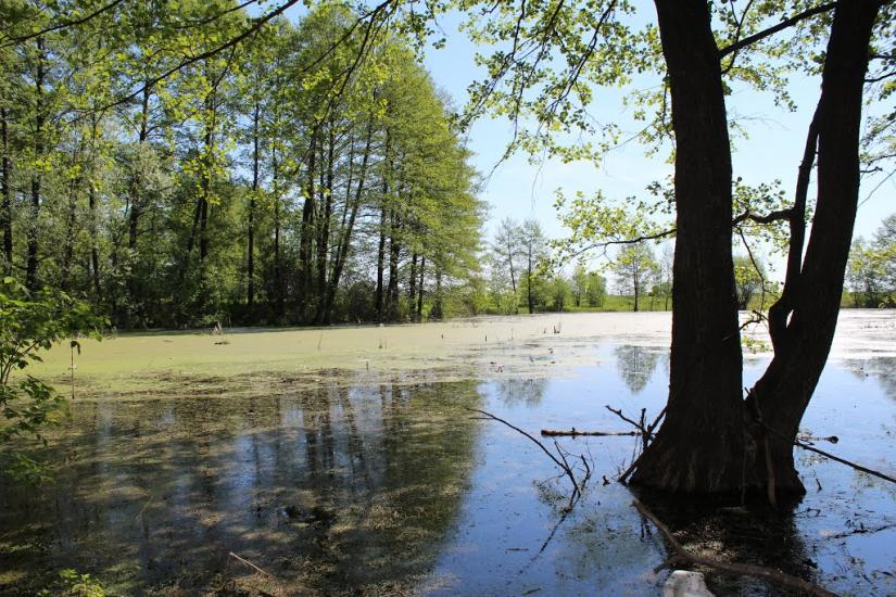 Дешки з panoramio.com - Дешки