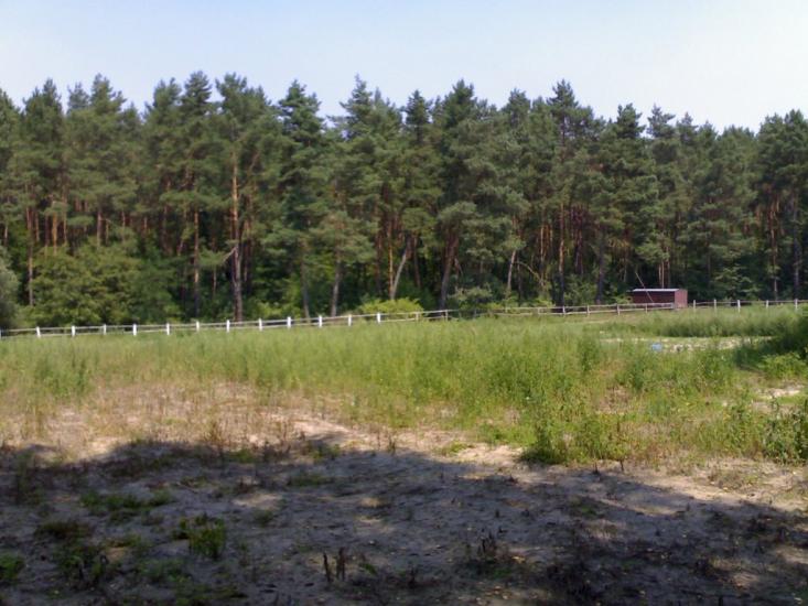 Андрушівка з panoramio.com - Андрушевка