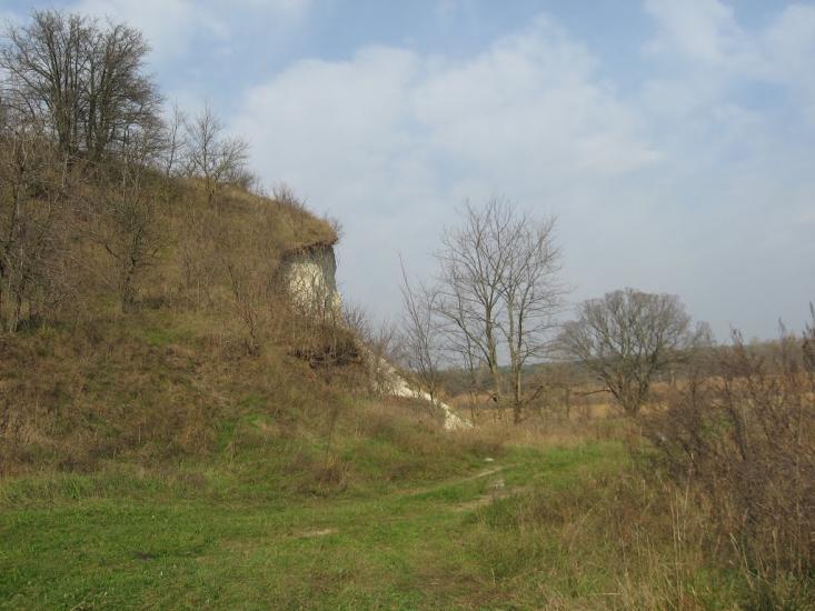 Нечаївка з panoramio.com - Нечаевка