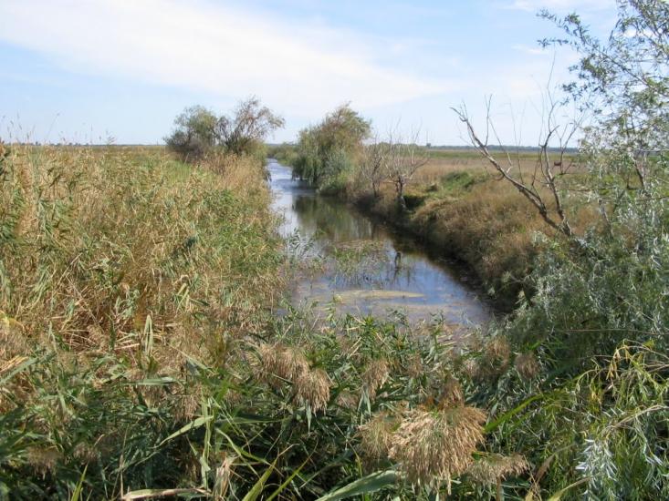 Троїцьке з panoramio.com - Троїцьке