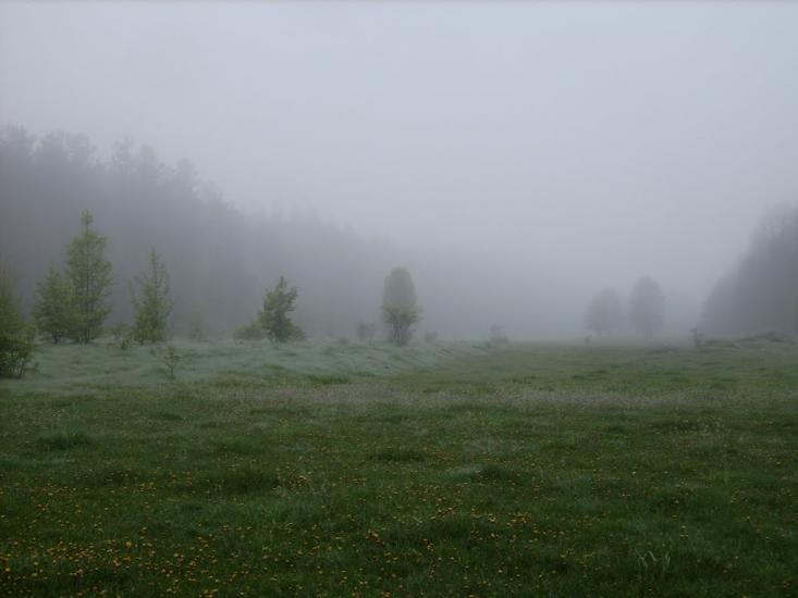 Побірка з panoramio.com - Поборка