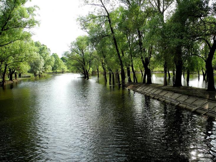 Погорілівка з panoramio.com - Pogorilivka