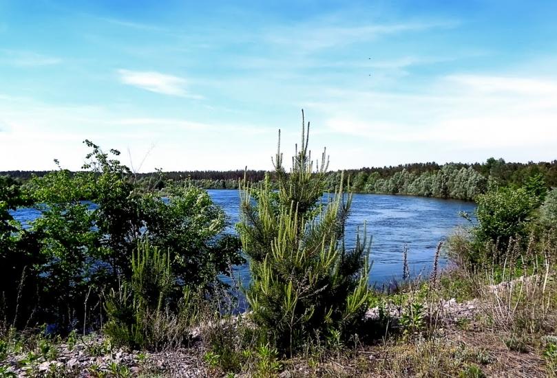 Неданчичі з panoramio.com - Неданчичі