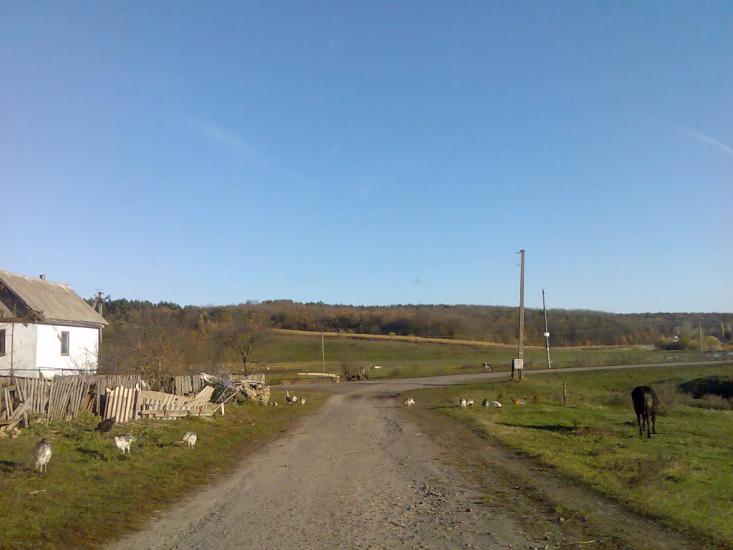 Пашківці з panoramio.com - Пашковцы