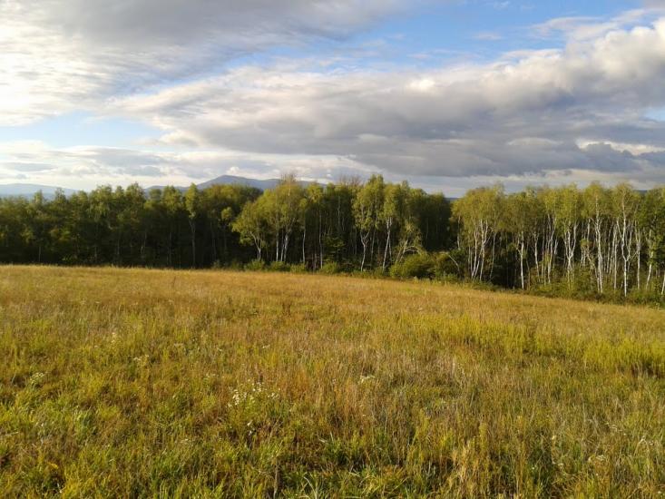 Забрідь з panoramio.com - Забродь