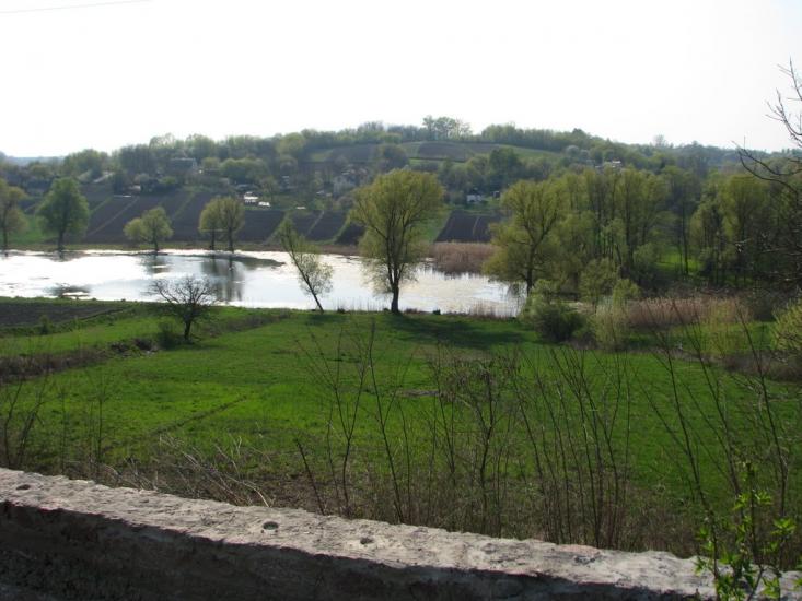 Тростинка з panoramio.com - Тростинка