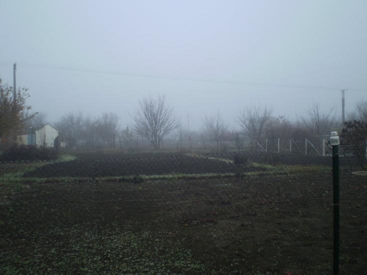 Старі Шомполи з panoramio.com - Старые Шомполы