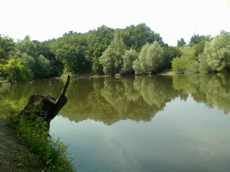 Селезнівка з panoramio.com - Селезневка