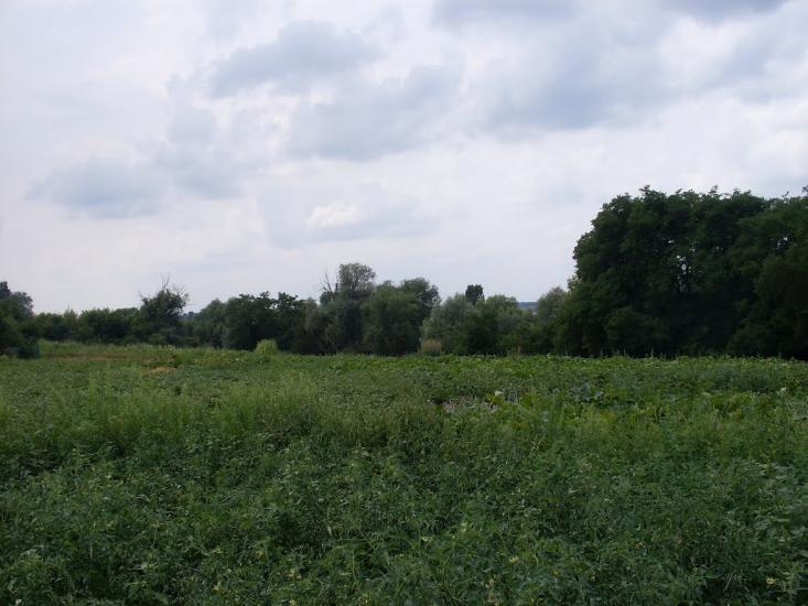 Засупоївка з panoramio.com - Засупоевка