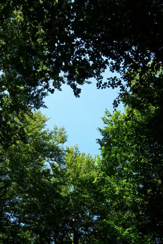 Княгиня з panoramio.com - Княгиня