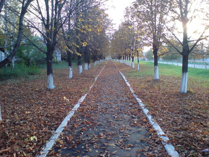 Гірник з panoramio.com - Гірник