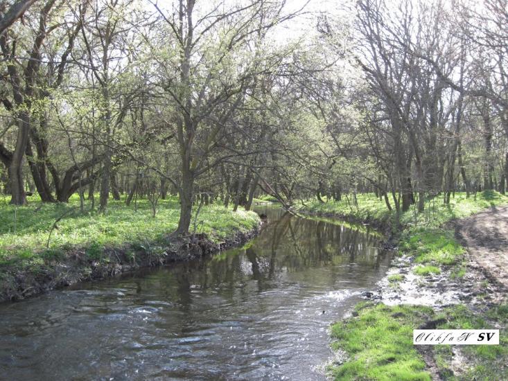 Черемшине з panoramio.com - Черемшино